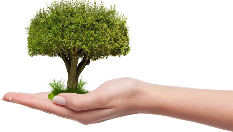 Czy ekologia jest potrzebna?